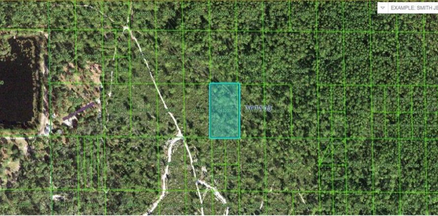 Terrain à Lake Wales, Floride № 2202860