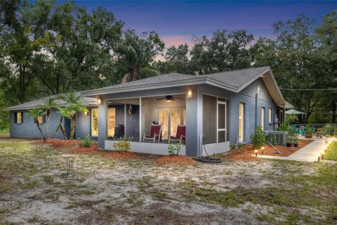 Villa ou maison à Plant City, Floride 3 chambres, 188.59 m2 № 2337349