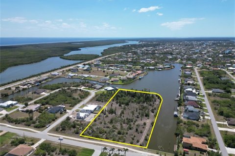 Land in Port Charlotte, Florida № 1637804 - photo 1