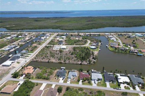 Land in Port Charlotte, Florida № 1637804 - photo 16