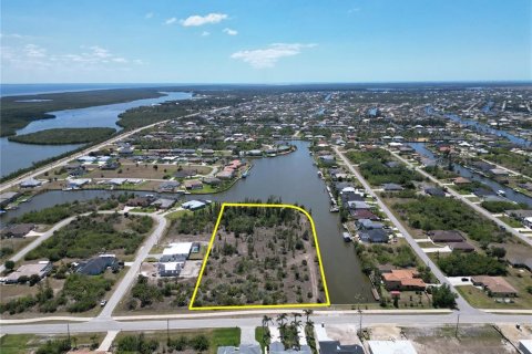 Land in Port Charlotte, Florida № 1637804 - photo 15