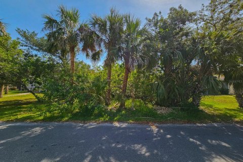 Land in Flagler Beach, Florida № 1750252 - photo 13