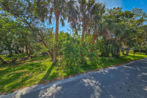 Land in Flagler Beach, Florida № 1750252 - photo 12