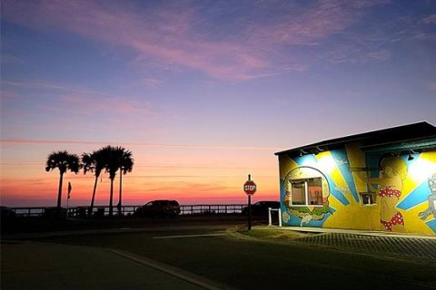 Land in Flagler Beach, Florida № 1750252 - photo 16
