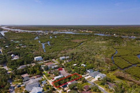 Land in Flagler Beach, Florida № 1750252 - photo 6