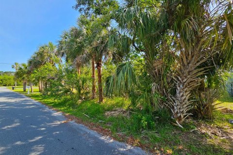 Land in Flagler Beach, Florida № 1750252 - photo 11