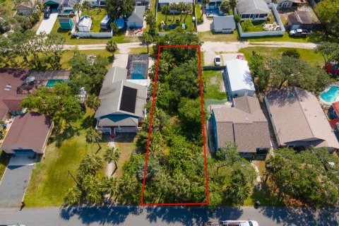 Land in Flagler Beach, Florida № 1750252 - photo 2