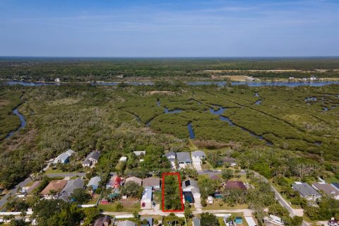 Land in Flagler Beach, Florida № 1750252 - photo 5