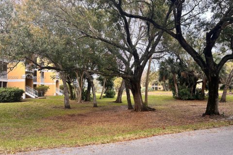 Copropriété à louer à Oakland Park, Floride: 1 chambre, 77.48 m2 № 2035877 - photo 17