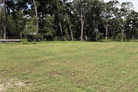 Terrain à vendre à Ocala, Floride № 2404825 - photo 4