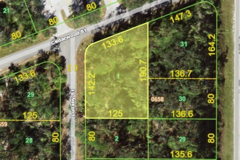 Propiedad comercial en Port Charlotte, Florida № 2022039