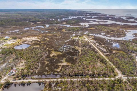 Land in Steinhatchee, Florida № 1724624 - photo 18