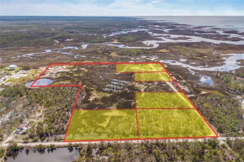 Land in Steinhatchee, Florida № 1724624 - photo 5
