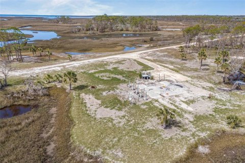 Land in Steinhatchee, Florida № 1724624 - photo 14