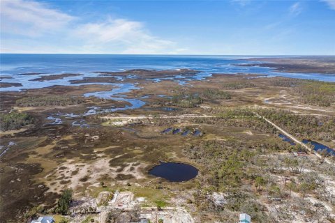 Land in Steinhatchee, Florida № 1724624 - photo 20