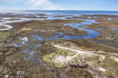 Land in Steinhatchee, Florida № 1724624 - photo 9
