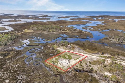 Land in Steinhatchee, Florida № 1724624 - photo 8