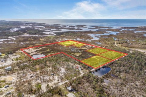 Land in Steinhatchee, Florida № 1724624 - photo 7