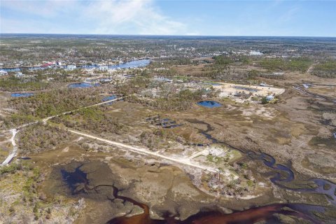 Land in Steinhatchee, Florida № 1724624 - photo 10