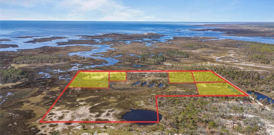 Land in Steinhatchee, Florida № 1724624