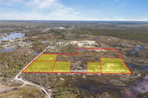 Land in Steinhatchee, Florida № 1724624 - photo 3