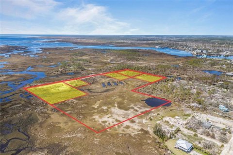 Land in Steinhatchee, Florida № 1724624 - photo 6