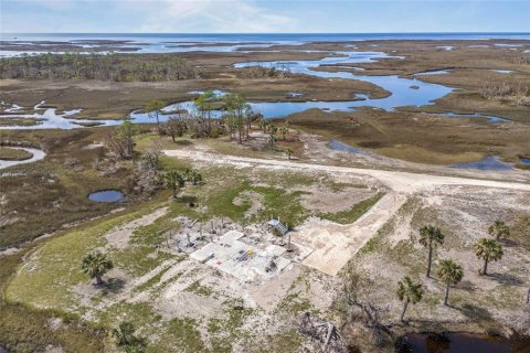 Land in Steinhatchee, Florida № 1724624 - photo 15