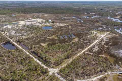 Land in Steinhatchee, Florida № 1724624 - photo 17