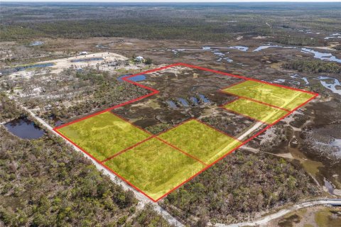 Land in Steinhatchee, Florida № 1724624 - photo 4