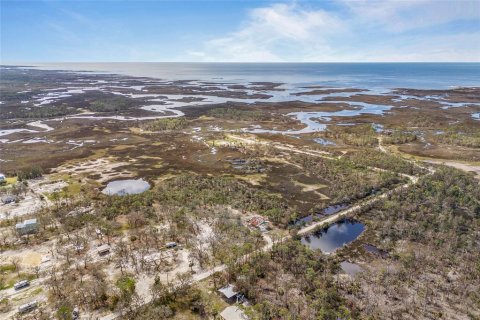 Land in Steinhatchee, Florida № 1724624 - photo 19