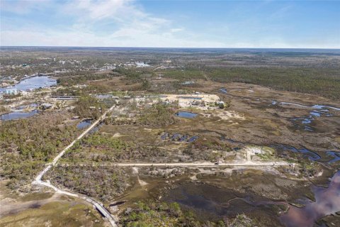 Land in Steinhatchee, Florida № 1724624 - photo 16