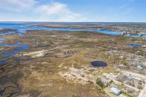 Land in Steinhatchee, Florida № 1724624 - photo 21