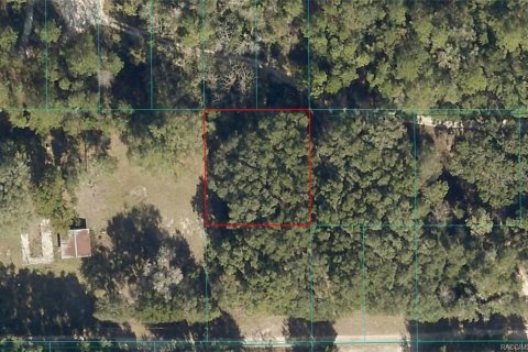 Land in Citra, Florida № 2162132