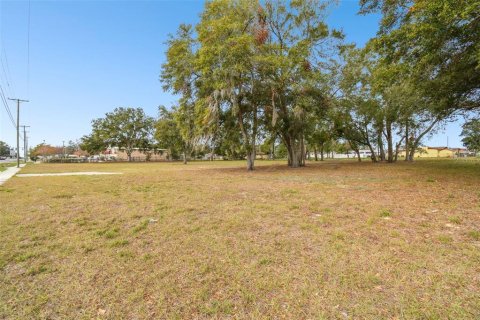 Land in Seffner, Florida № 1826125 - photo 4