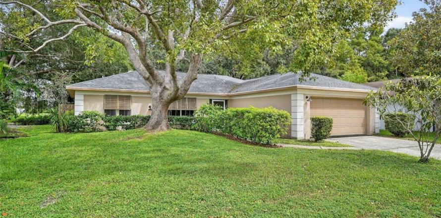 Villa ou maison à New Port Richey, Floride 3 chambres, 155.8 m2 № 1909965