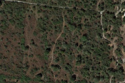 Terreno en venta en Okeechobee, Florida № 850169 - foto 1