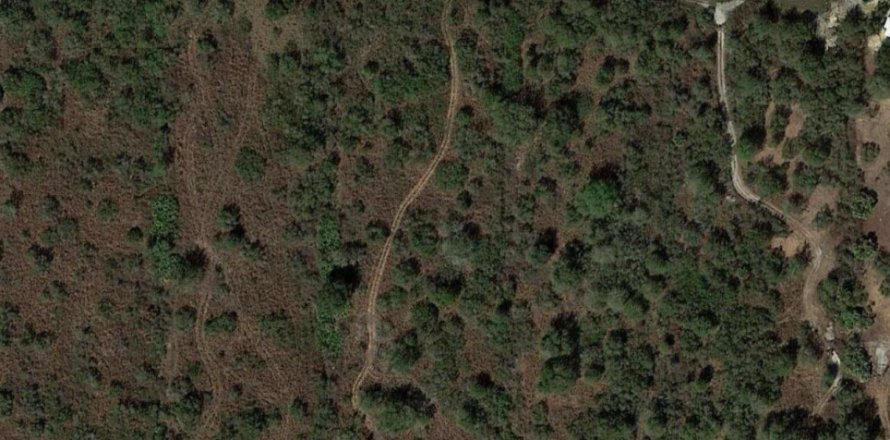 Terreno en Okeechobee, Florida № 850169