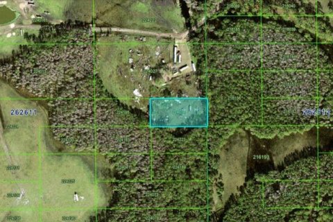 Terreno en Polk City, Florida № 2160723