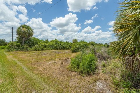 Land in Punta Gorda, Florida № 2385973 - photo 19