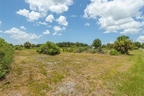 Land in Punta Gorda, Florida № 2385973 - photo 20
