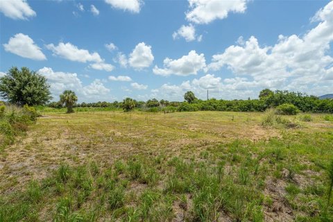 Land in Punta Gorda, Florida № 2385973 - photo 4