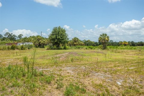 Land in Punta Gorda, Florida № 2385973 - photo 2