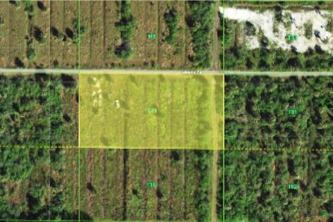 Land in Punta Gorda, Florida № 2385973 - photo 3