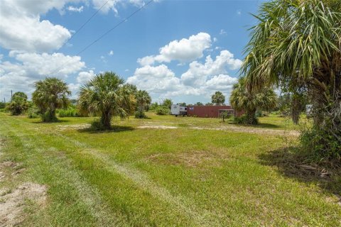 Land in Punta Gorda, Florida № 2385973 - photo 14