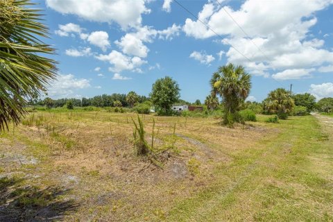 Land in Punta Gorda, Florida № 2385973 - photo 18