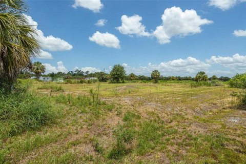 Land in Punta Gorda, Florida № 2385973