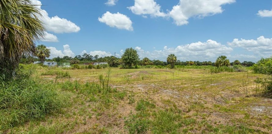 Land in Punta Gorda, Florida № 2385973