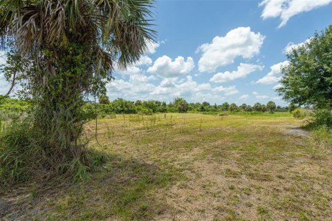 Land in Punta Gorda, Florida № 2385973 - photo 6