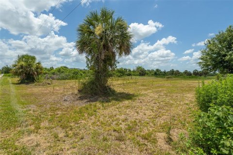 Land in Punta Gorda, Florida № 2385973 - photo 16