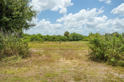 Land in Punta Gorda, Florida № 2385973 - photo 7